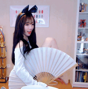 绿夏网络