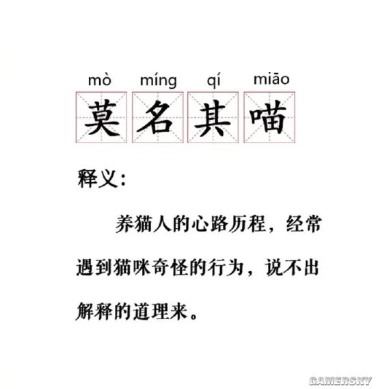 绿夏网络