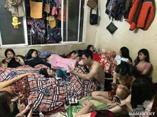 绿夏网络