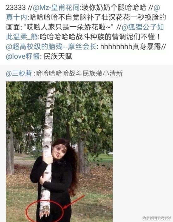绿夏网络