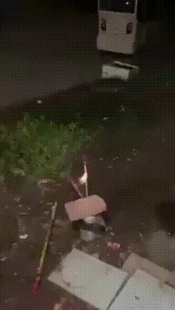 绿夏网络