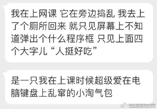 绿夏网络