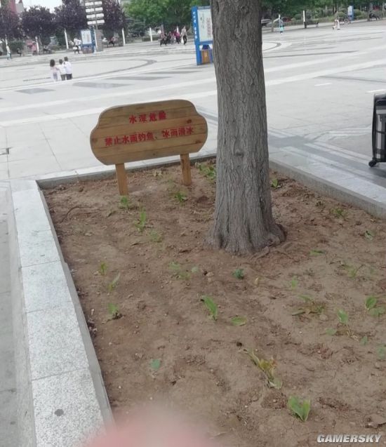 绿夏网络