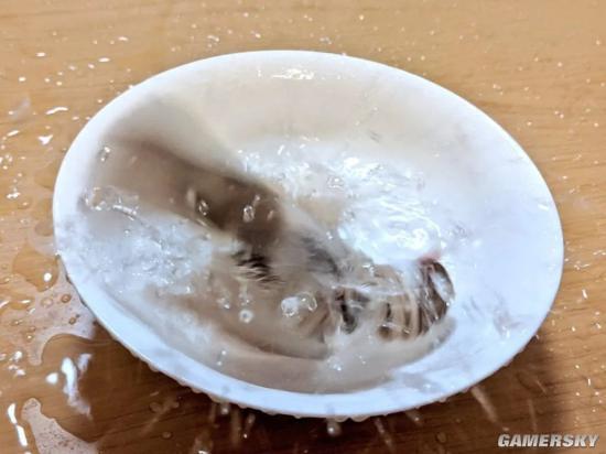 绿夏网络