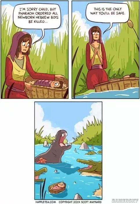 绿夏网络
