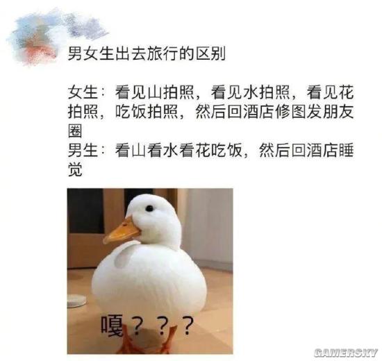 绿夏网络
