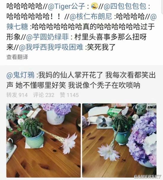 绿夏网络