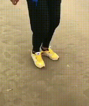 绿夏网络