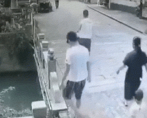 绿夏网络