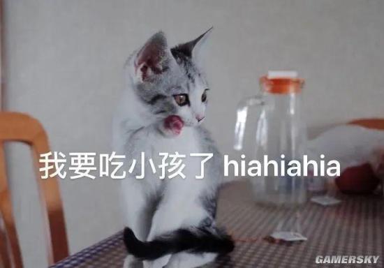 绿夏网络