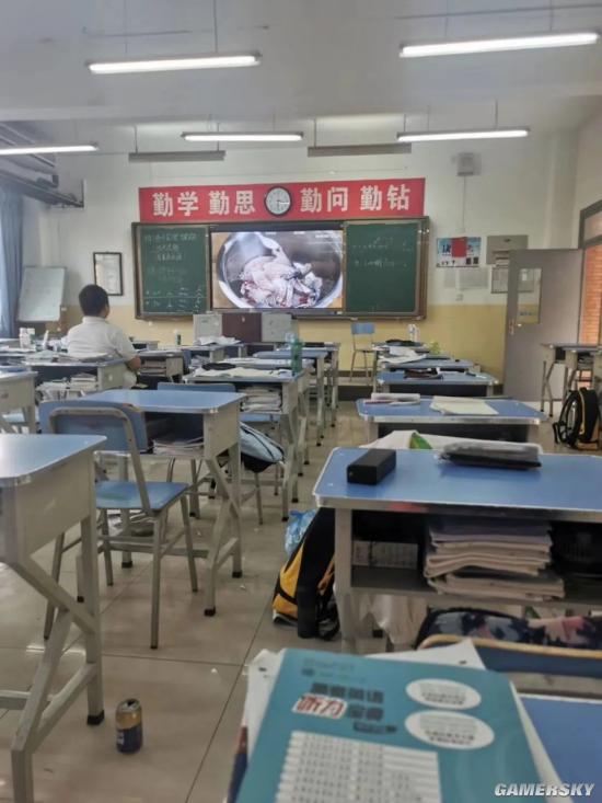 绿夏网络