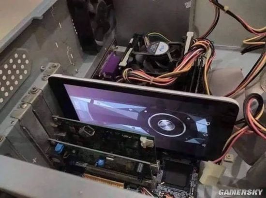 绿夏网络