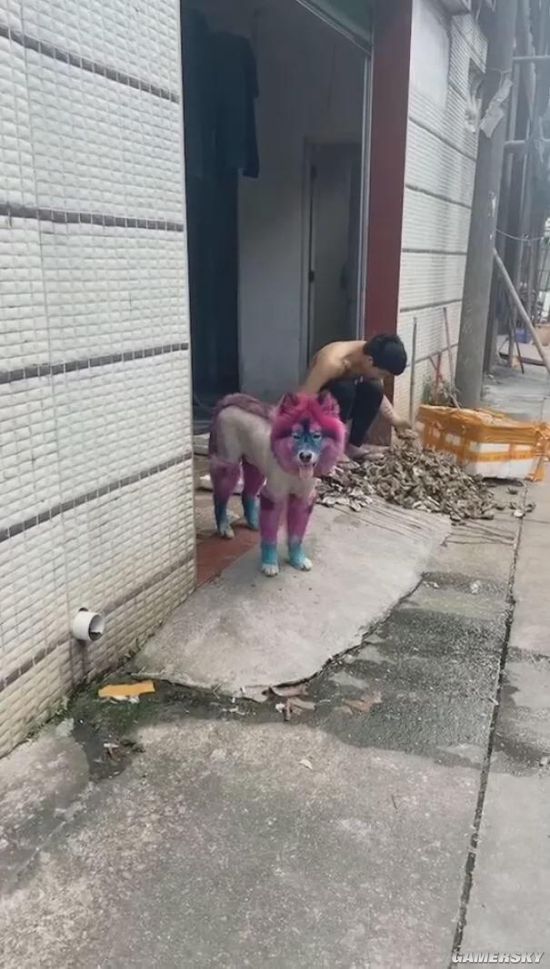 绿夏网络
