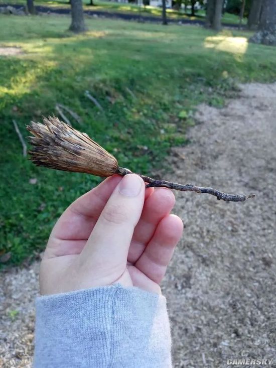 绿夏网络