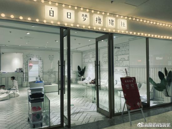 绿夏网络