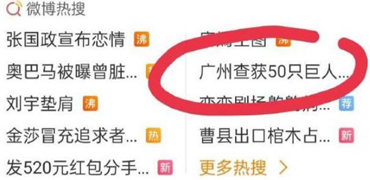 绿夏网络