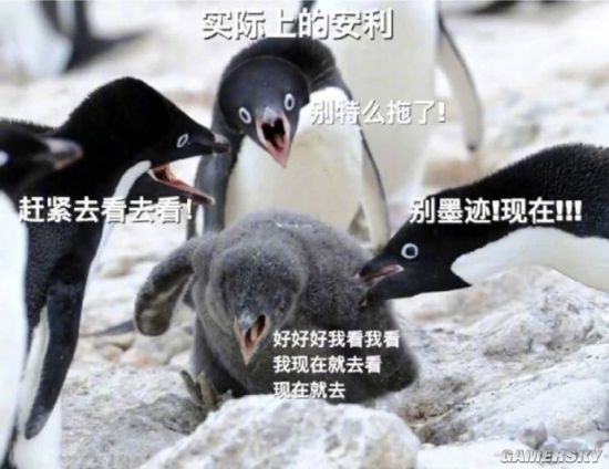 绿夏网络
