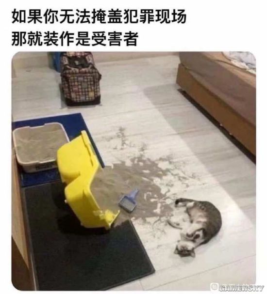 绿夏网络