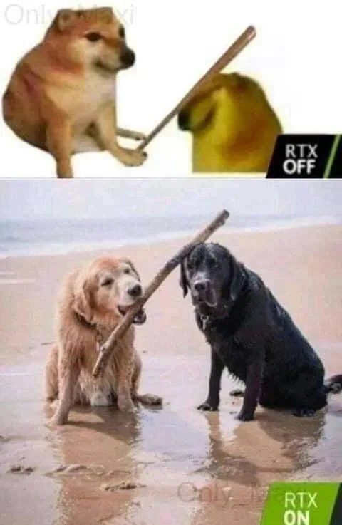 绿夏网络