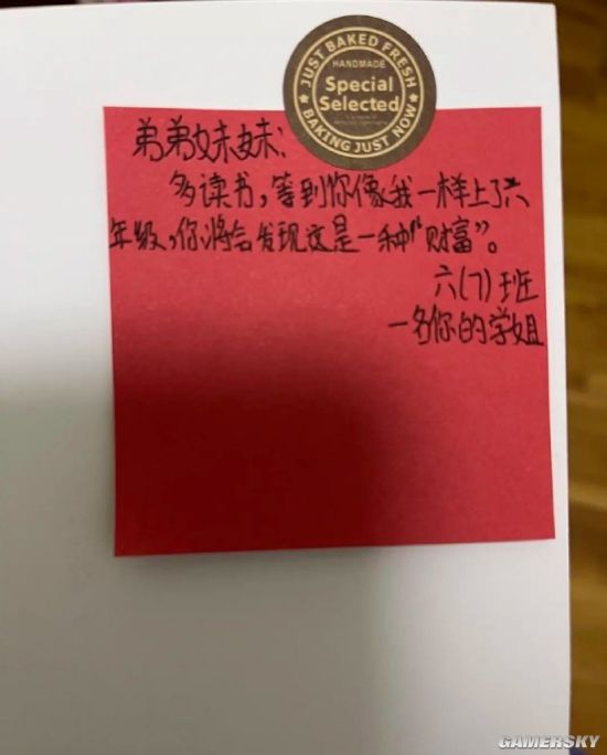 绿夏网络