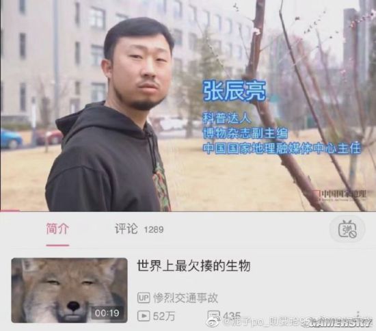 绿夏网络