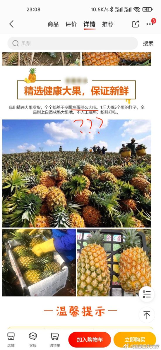绿夏网络