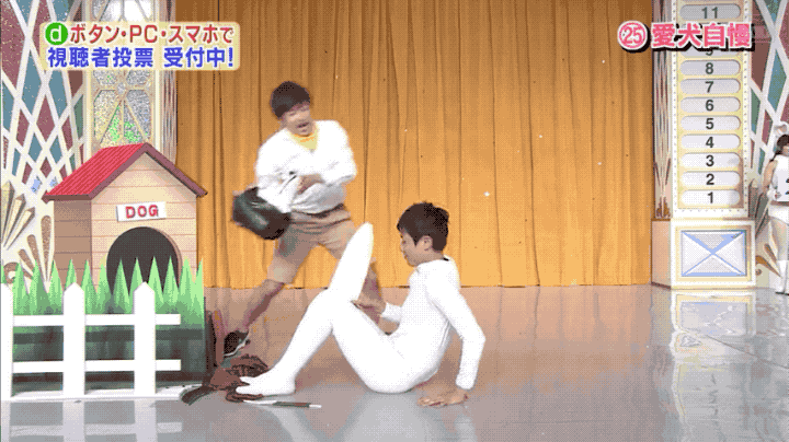 绿夏网络