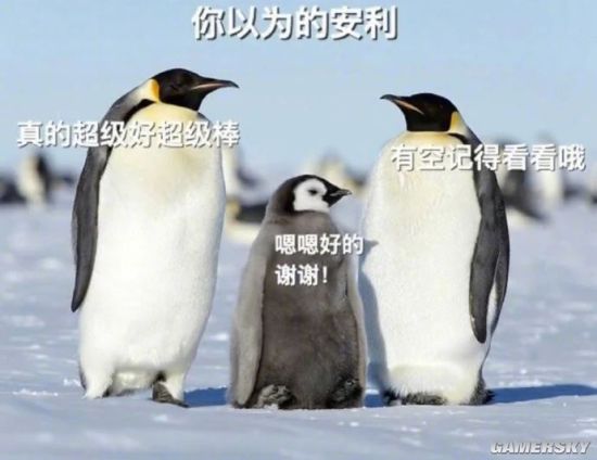 绿夏网络