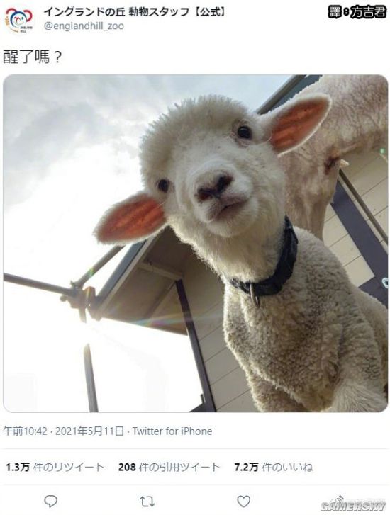 绿夏网络