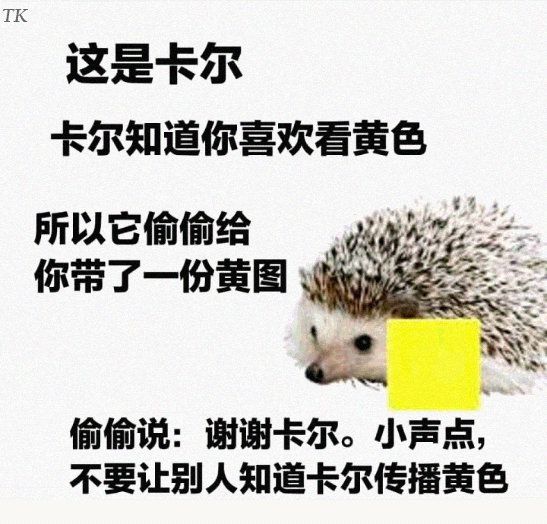 绿夏网络