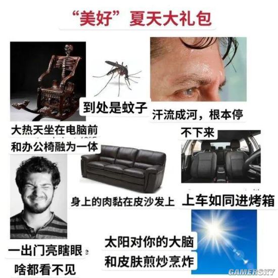 绿夏网络