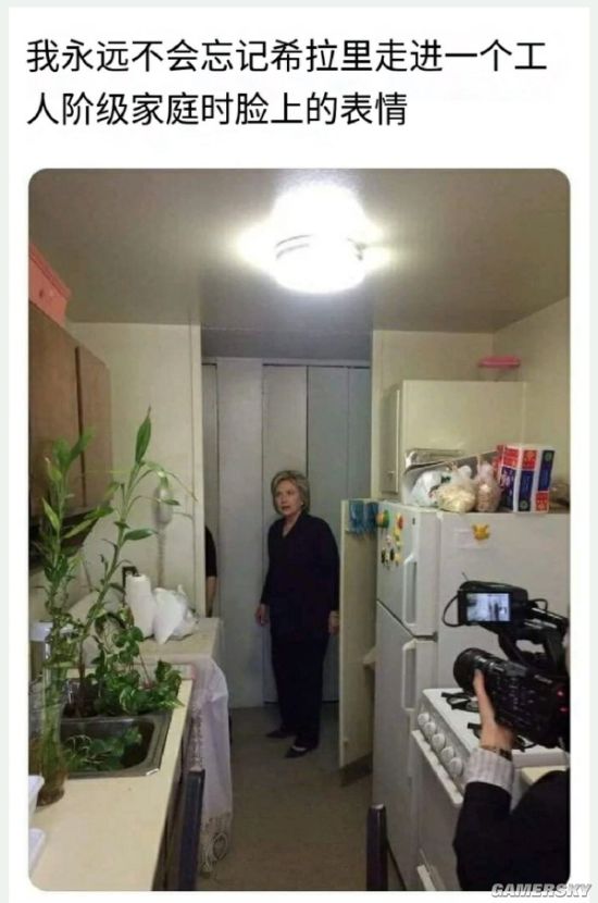 绿夏网络