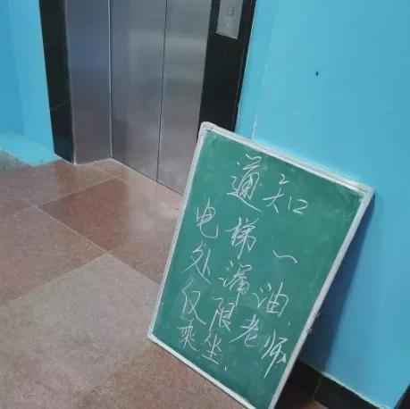 绿夏网络