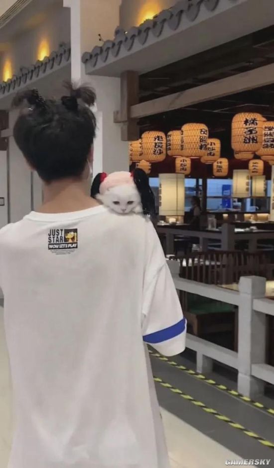 绿夏网络
