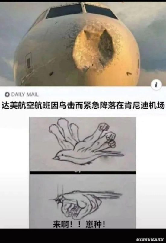 绿夏网络