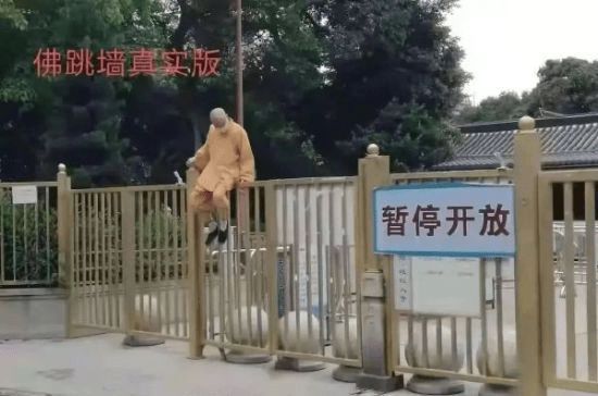 绿夏网络