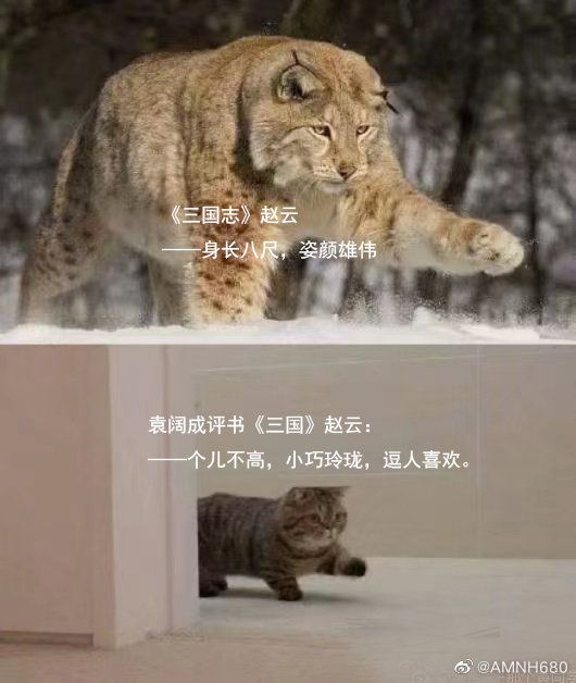 绿夏网络