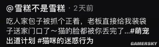 绿夏网络