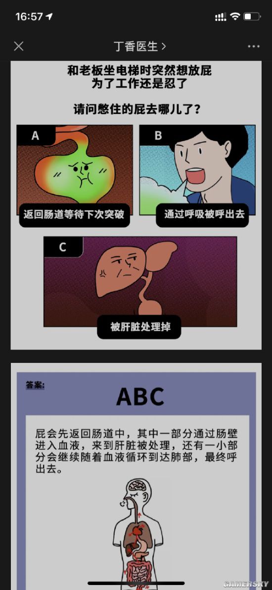 绿夏网络