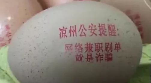 绿夏网络