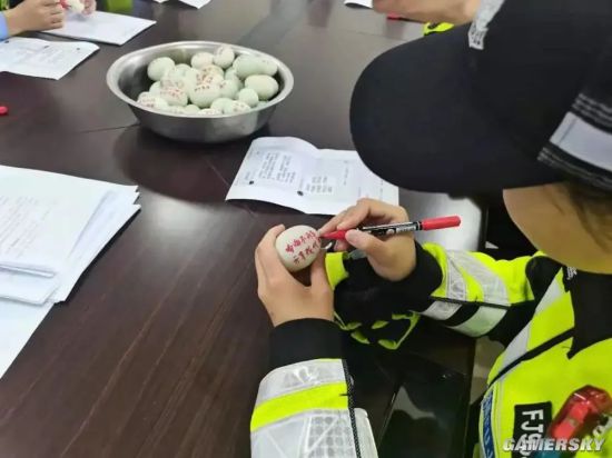 绿夏网络