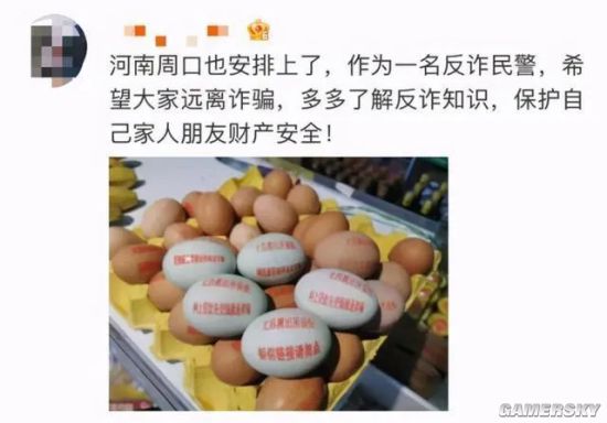 绿夏网络