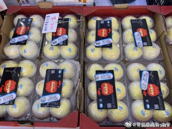 绿夏网络