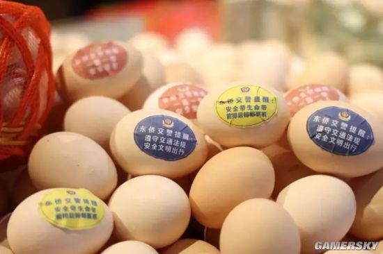 绿夏网络