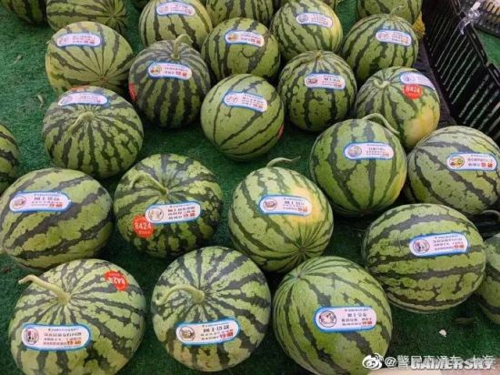 绿夏网络