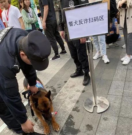 绿夏网络