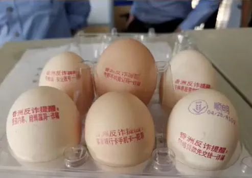 绿夏网络