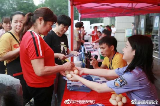 绿夏网络