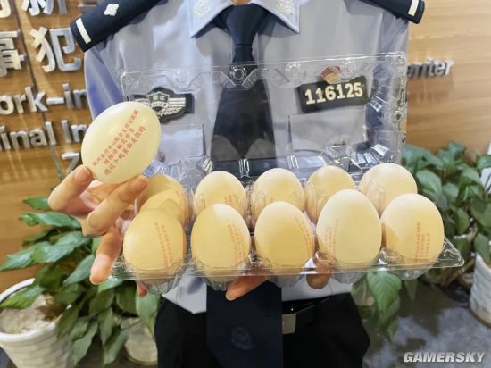绿夏网络