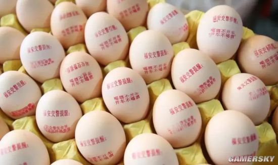 绿夏网络